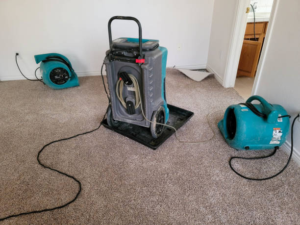 Local water damage restoration in MN