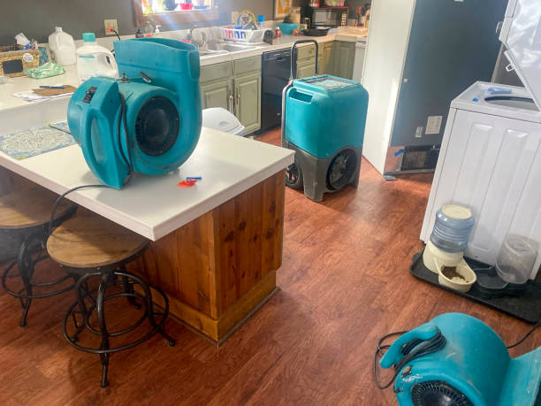 Best Local water damage restoration  in Howard Lake, MN