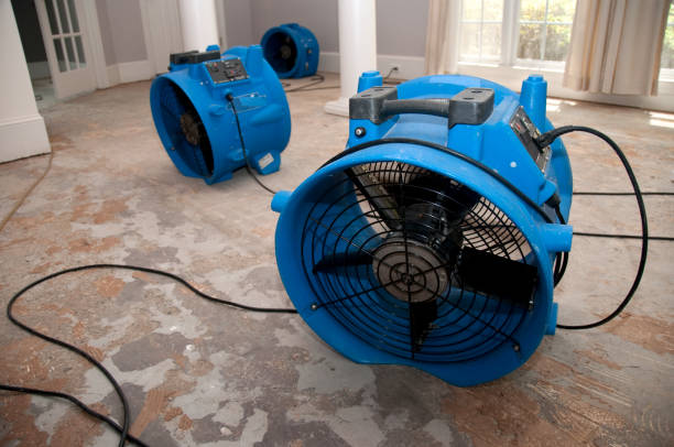 Best Water damage cleanup near me  in Howard Lake, MN