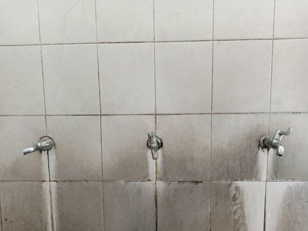 Best Flood restoration services  in Howard Lake, MN