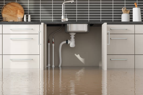 Best Residential water damage restoration  in Howard Lake, MN